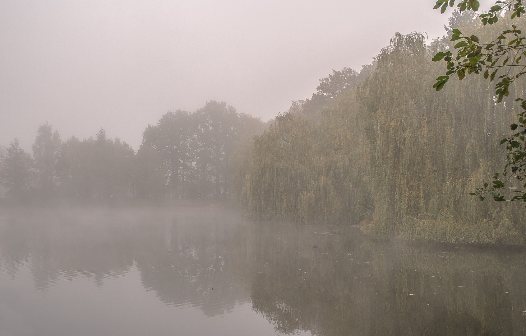 Nebelsee