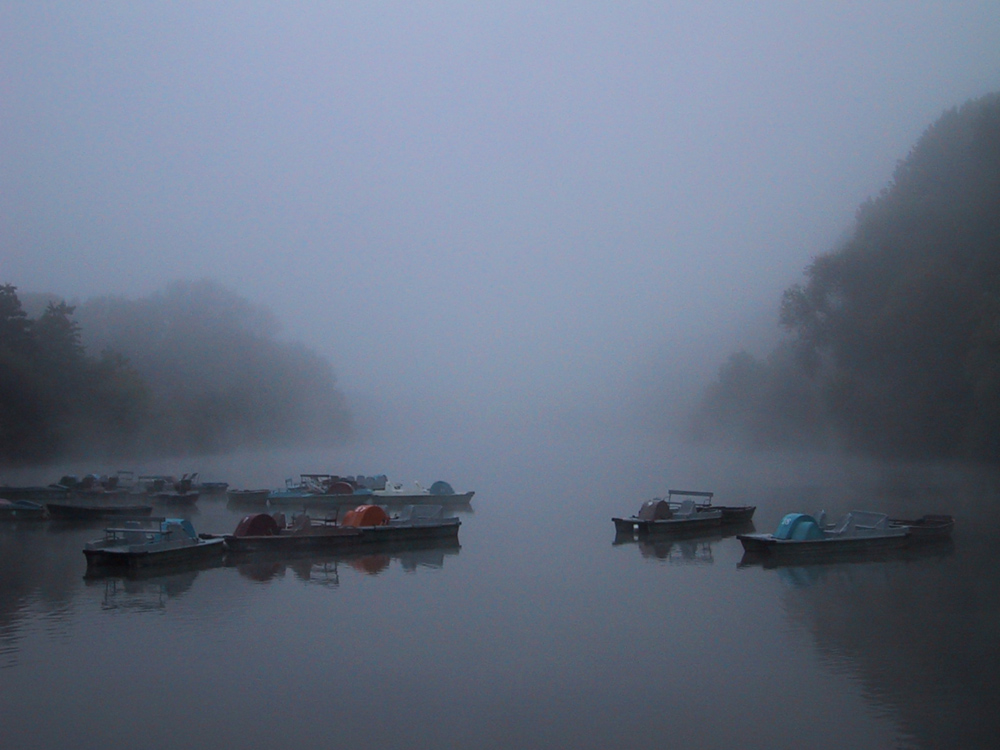 Nebelsee