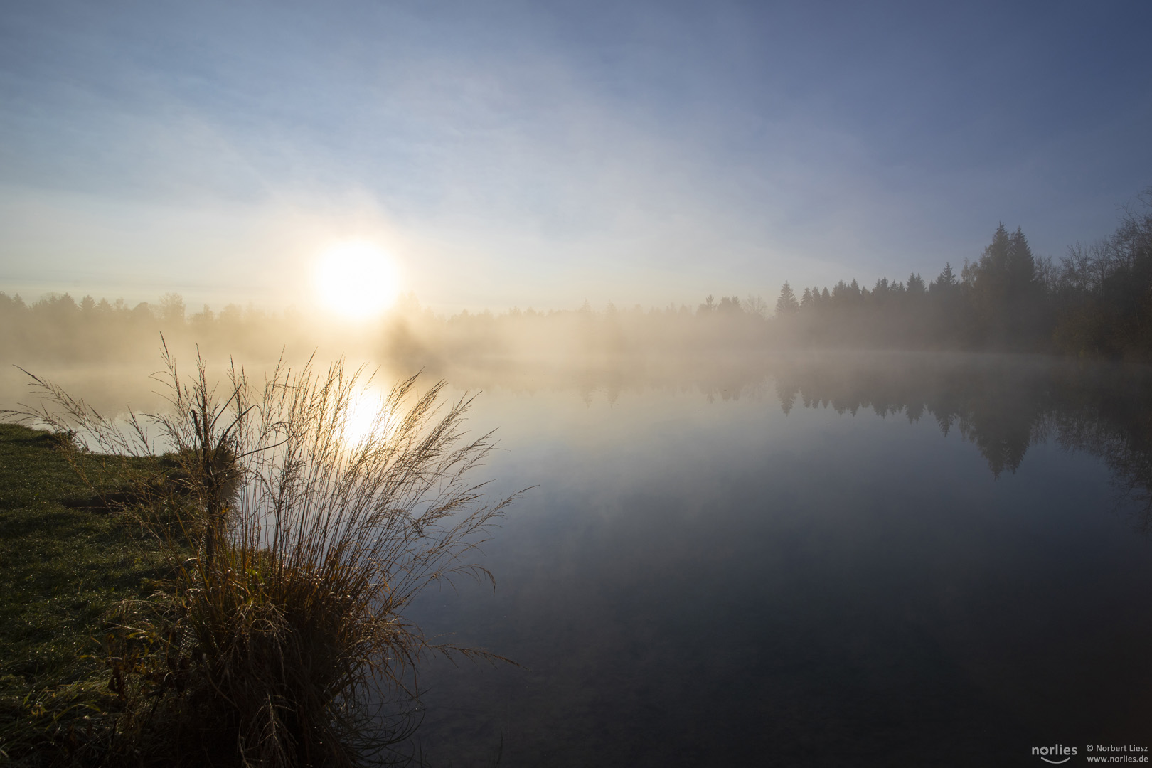 Nebelsee