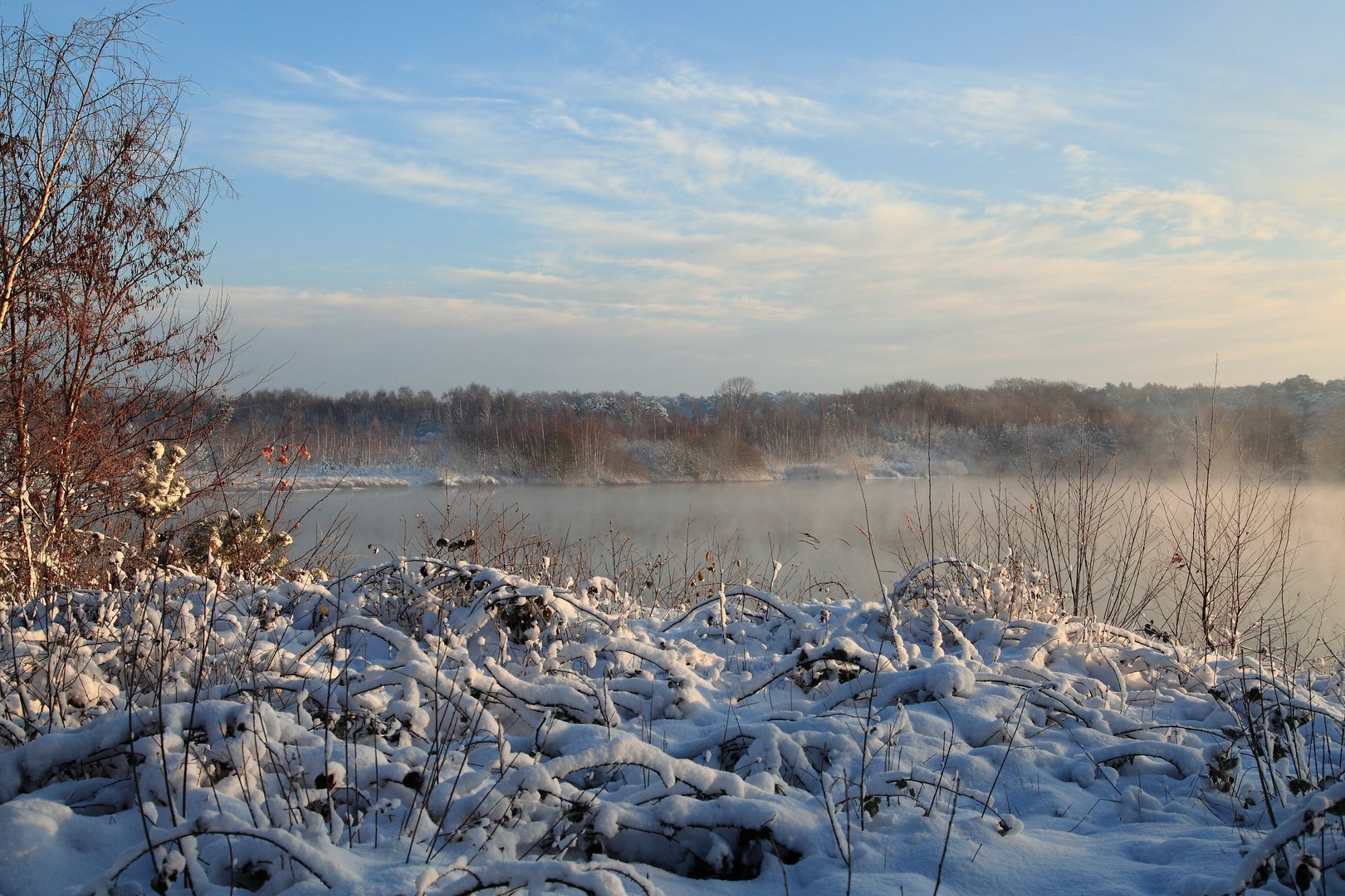 Nebelsee