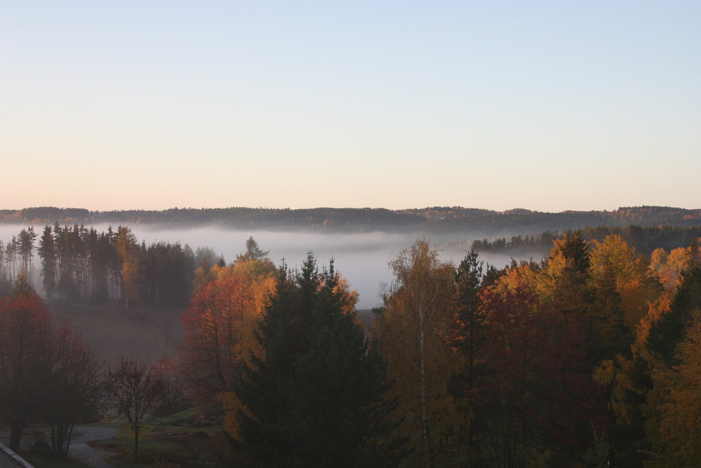 Nebelsee bei Groß Gerungs