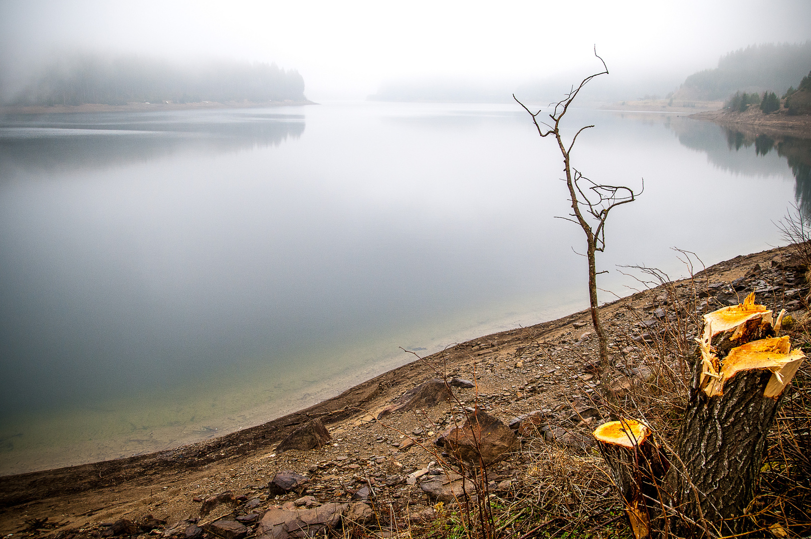 Nebelsee