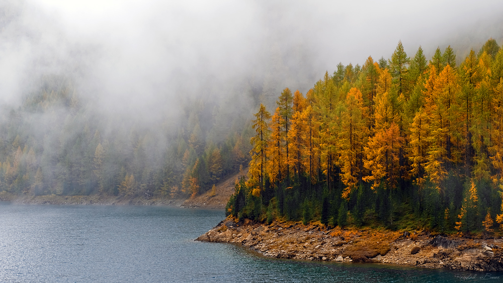 Nebelsee