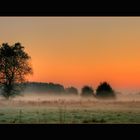 Nebelslandschaft am Morgen-2