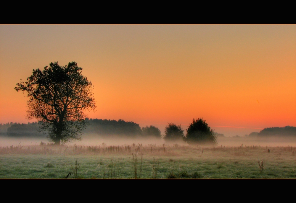 Nebelslandschaft am Morgen-2