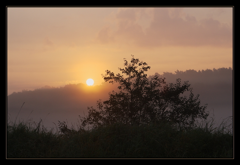 Nebelsonne