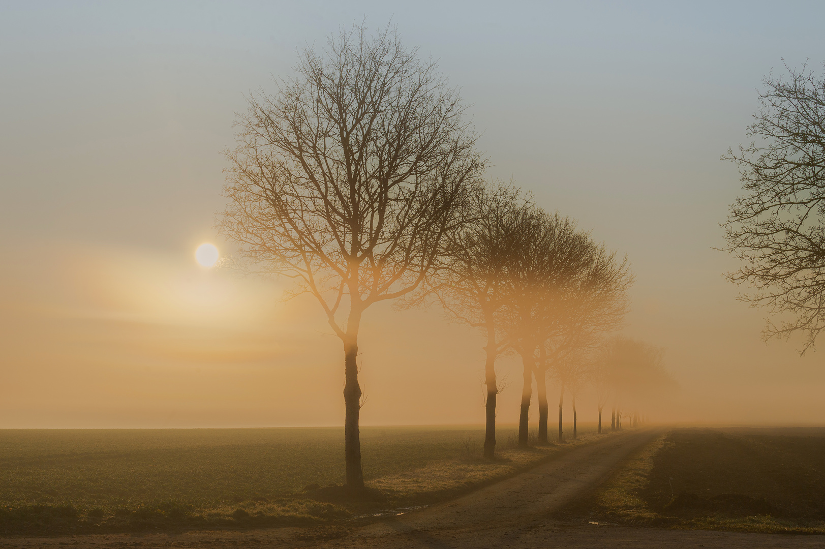 Nebelsonne