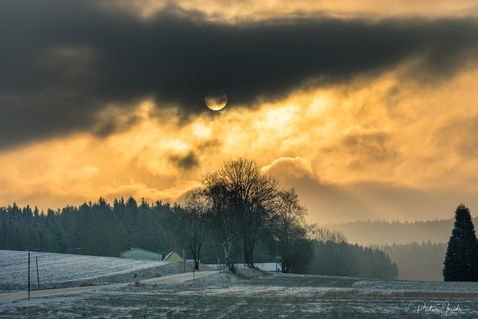 Nebel:Sonne