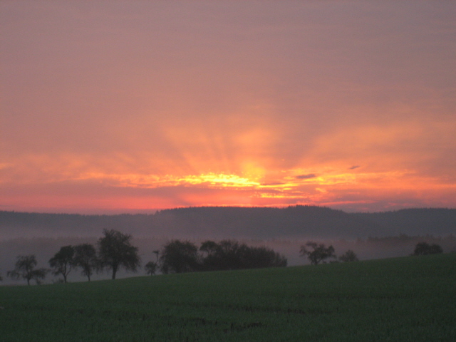 Nebelsonne