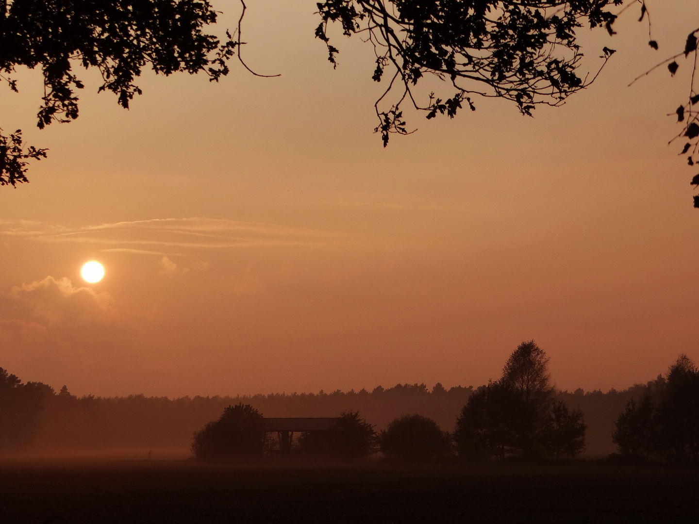 Nebelsonne