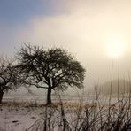 Nebelsonne