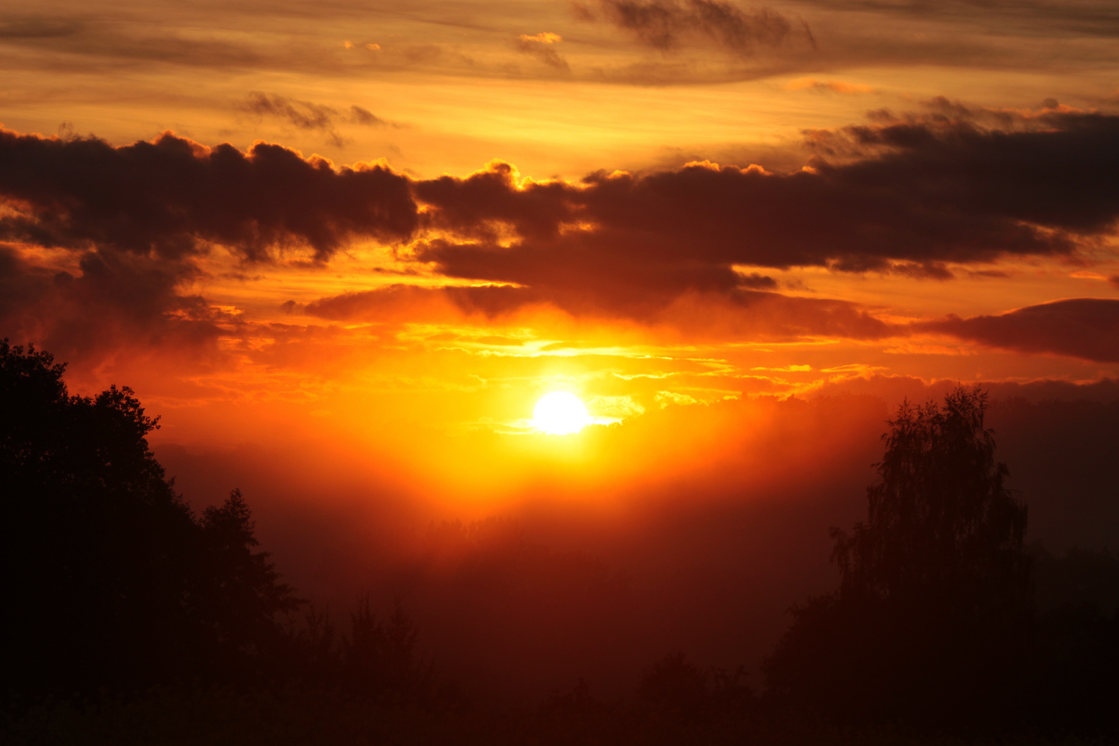 Nebel,Sonne