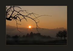 Nebelsonne