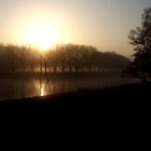 Nebelsonne entwischt den Baumsilhouetten und spiegelt sich im Wasser