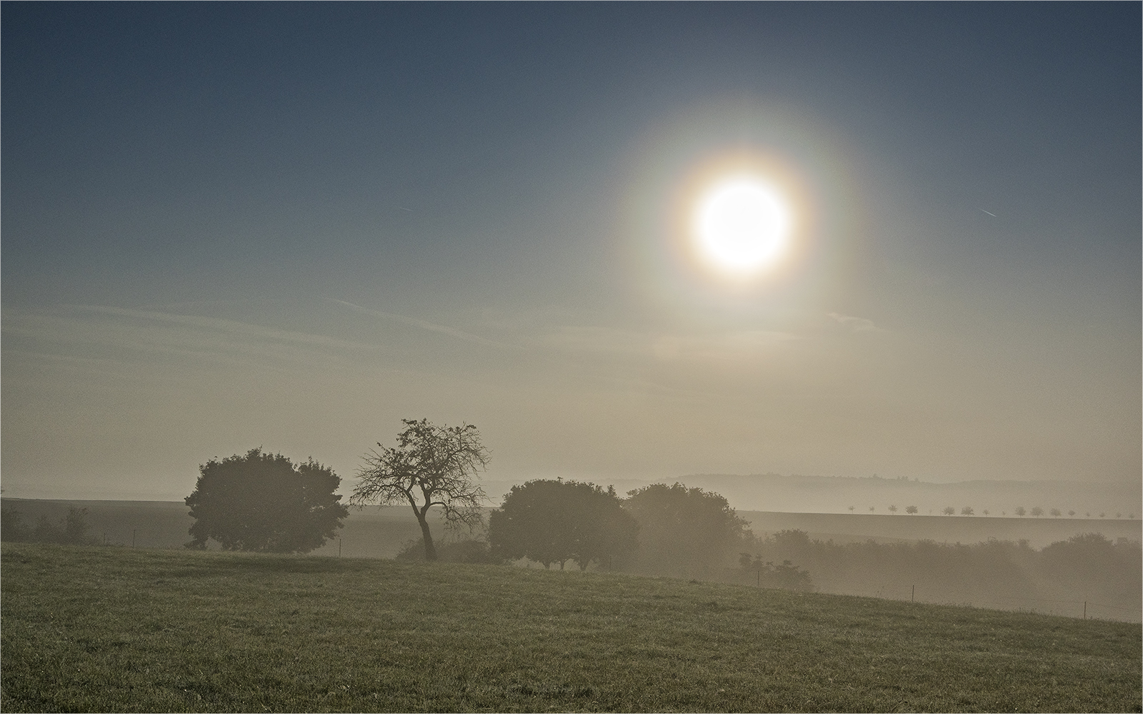 nebelsonne im bliesgau