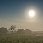 nebelsonne im bliesgau