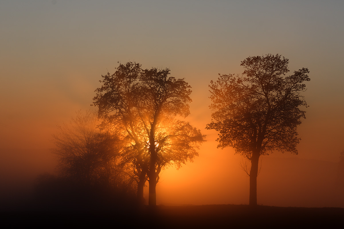 Nebelsonnenuntergang