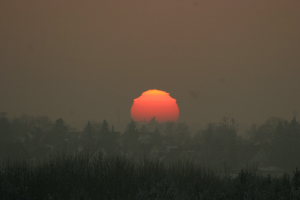 Nebel.Sonnenuntergang.München