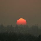 Nebel.Sonnenuntergang.München