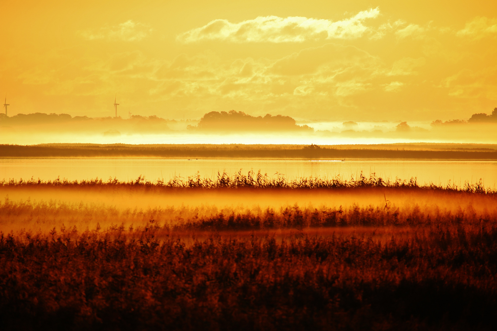 Nebelstille am Goldmorgen...