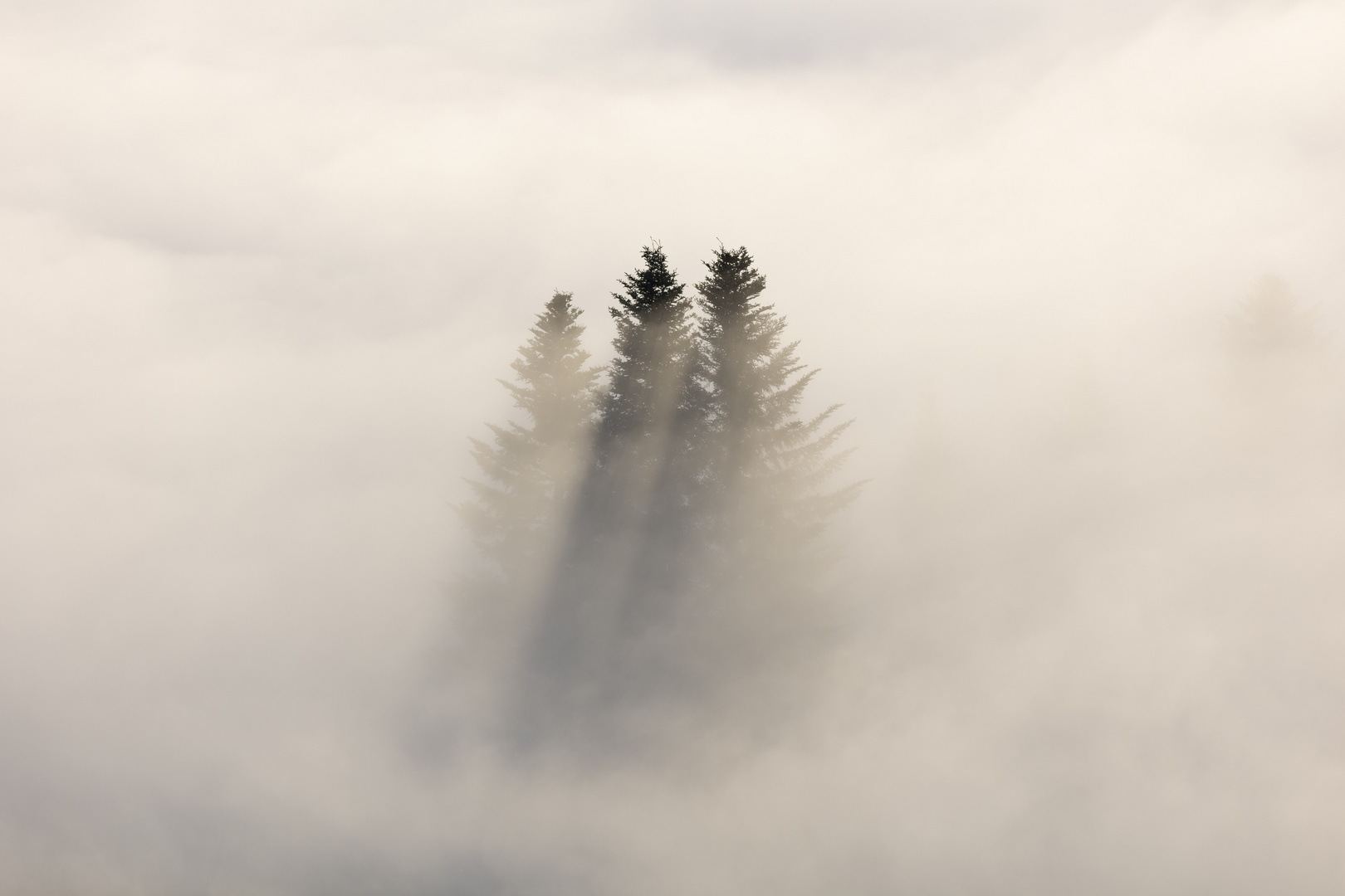 Nebelstimmung 