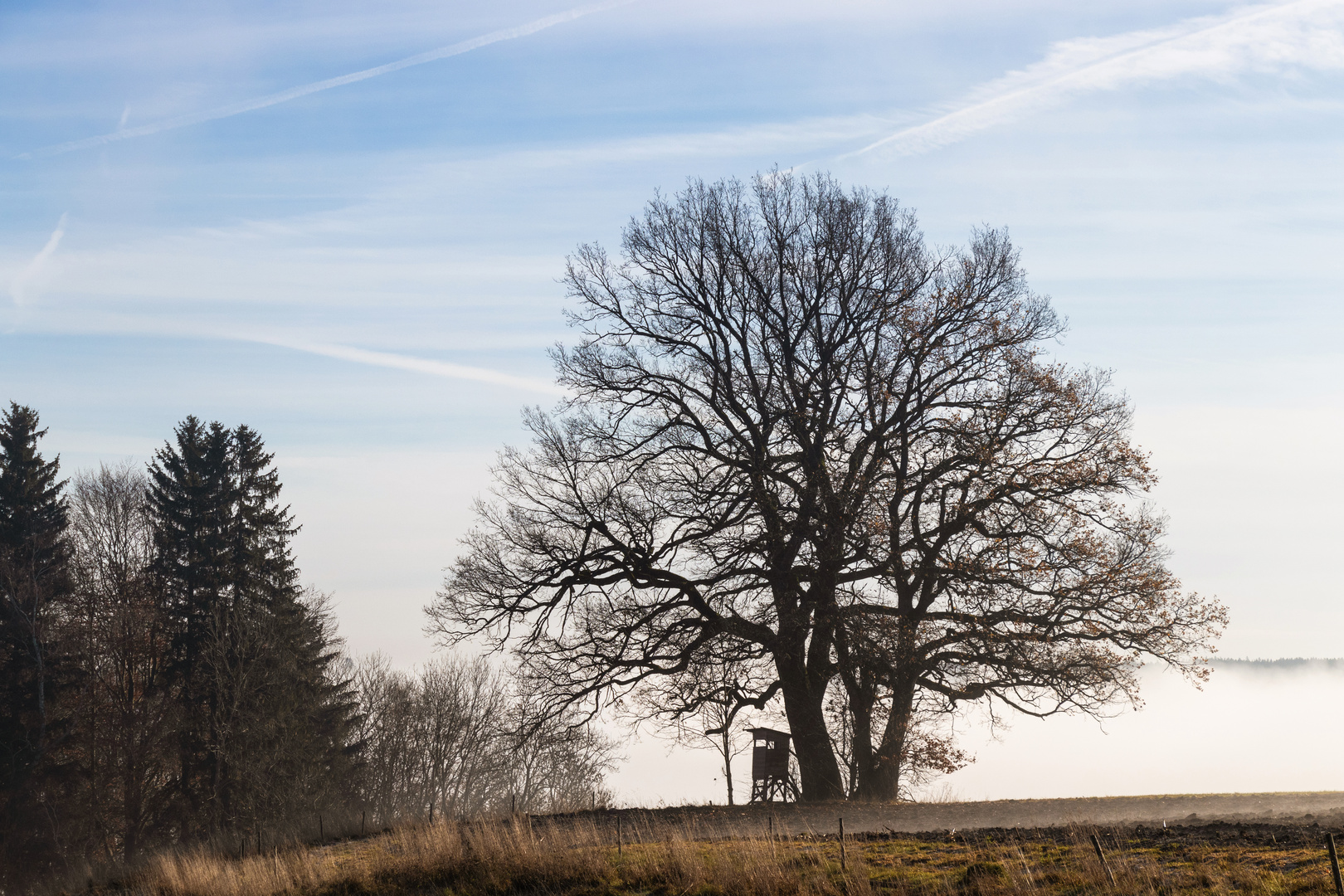 Nebelstimmung