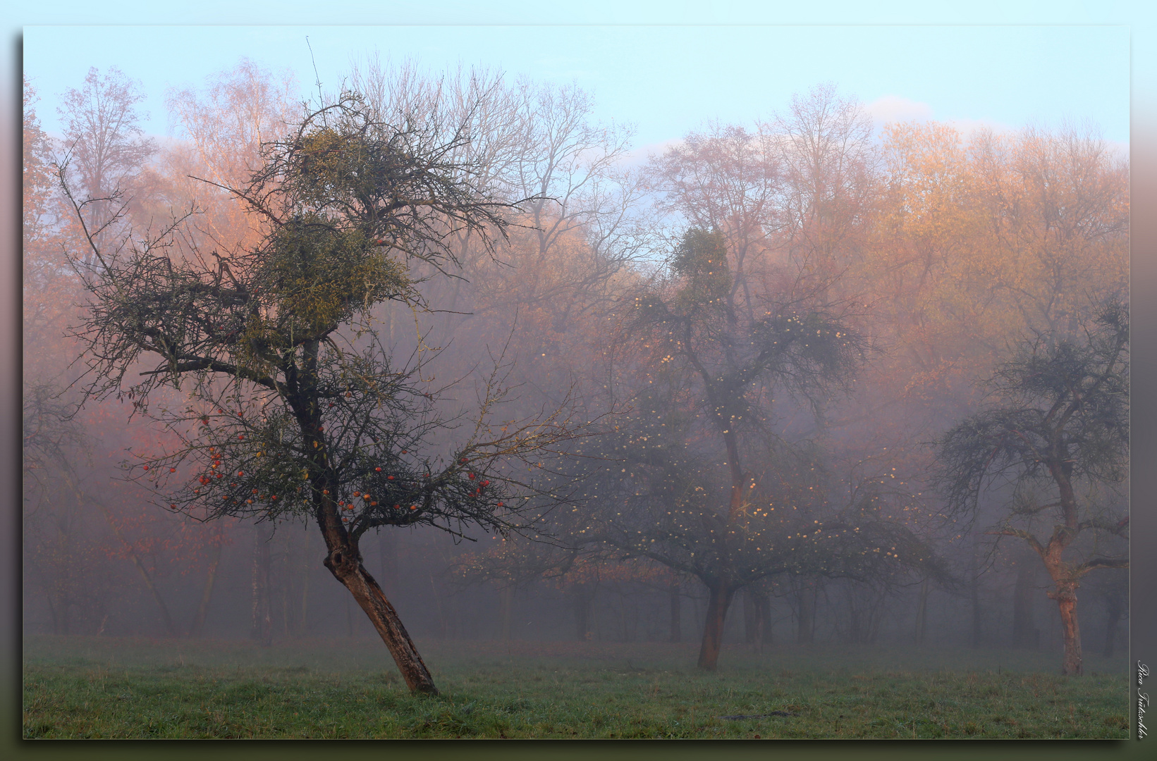 Nebelstimmung