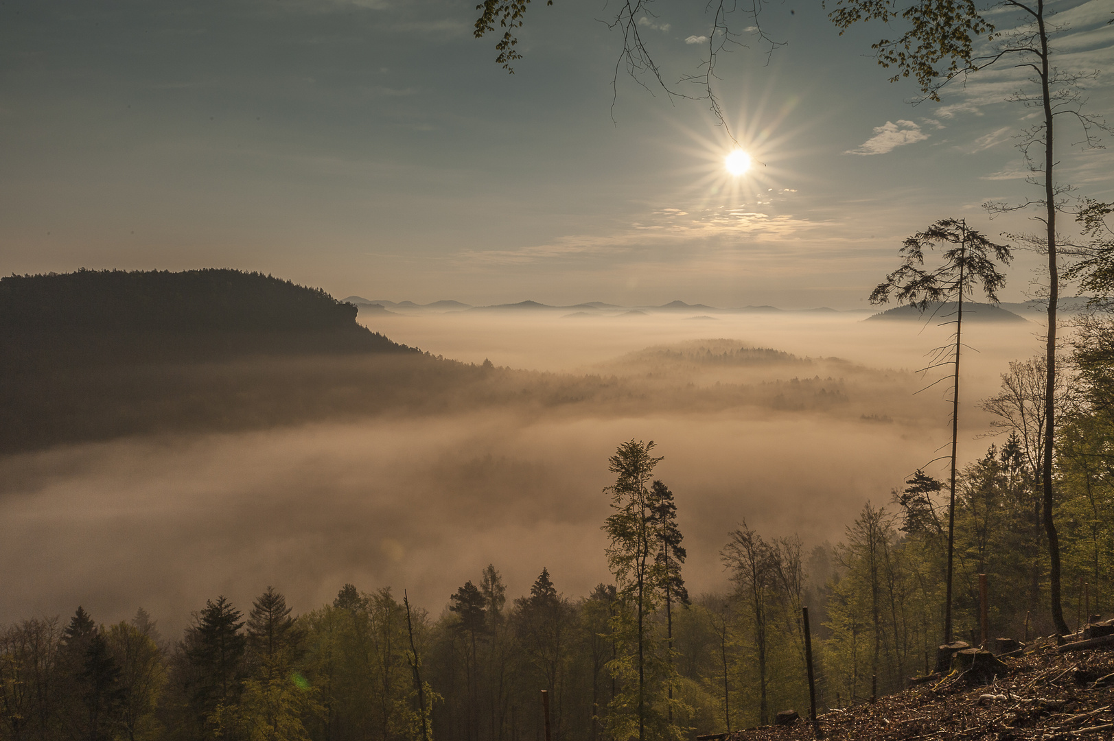 Nebelstimmung am 1. Mai