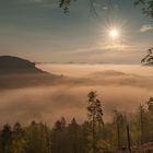 Nebelstimmung am 1. Mai