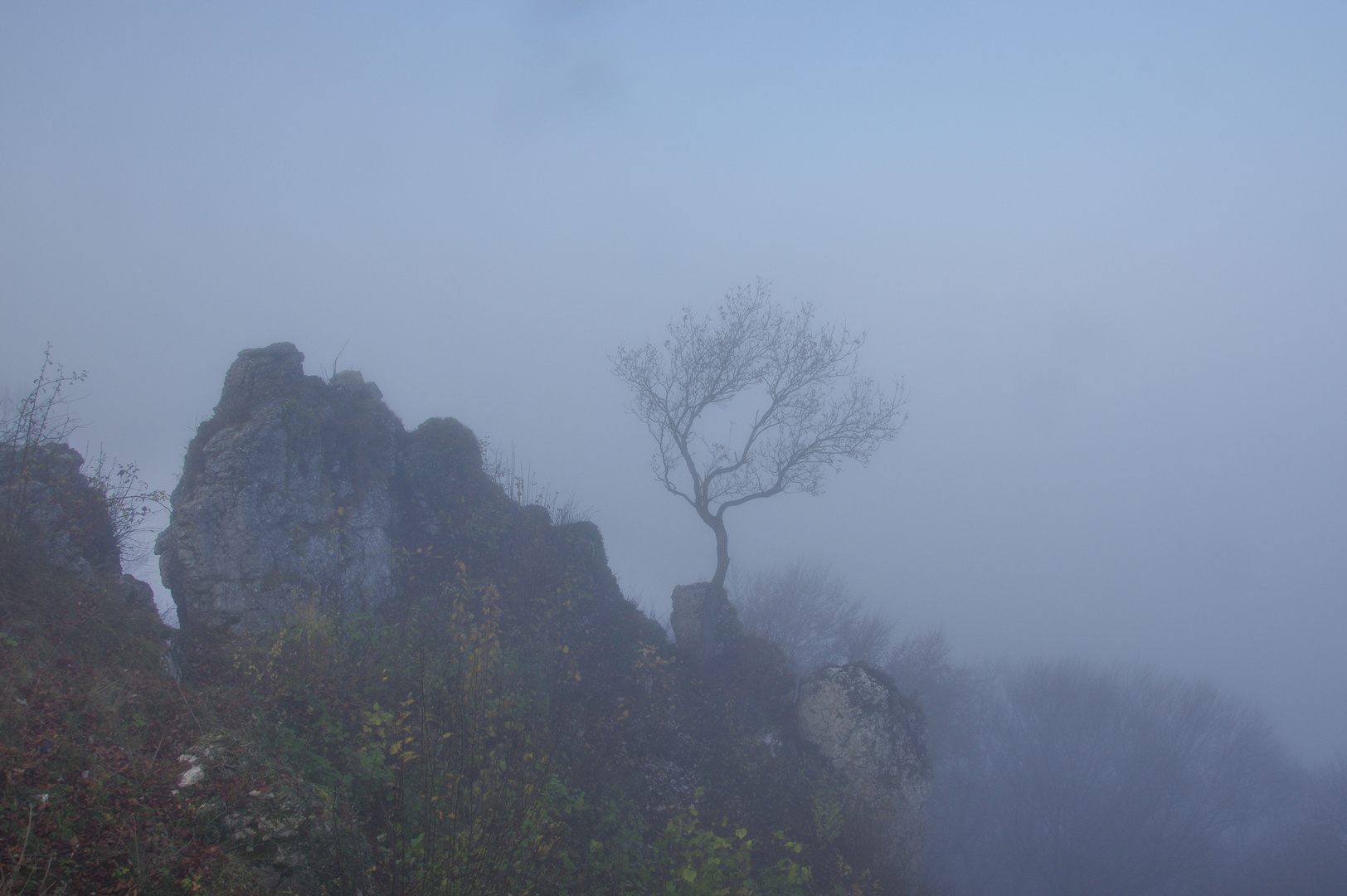 Nebelstimmung am Albtrauf