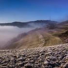 Nebelstimmung am Badberg Kaiserstuhl 