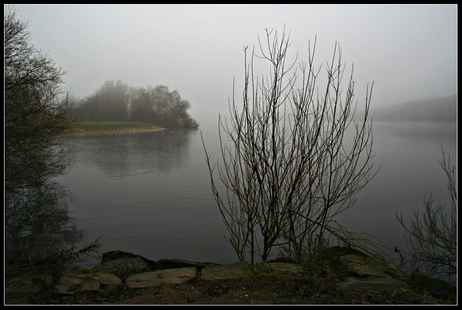 Nebelstimmung am Baggersee