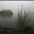 Nebelstimmung am Baggersee