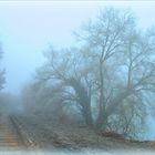 Nebelstimmung am Bahndamm 