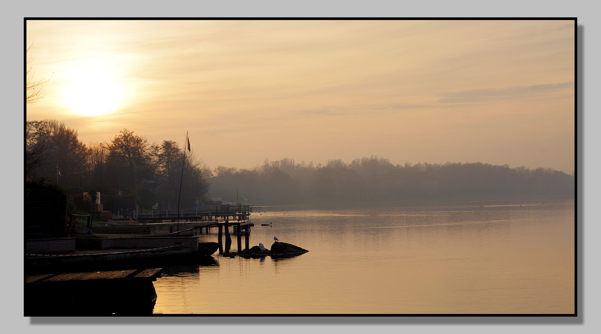 Nebelstimmung am Bantersee