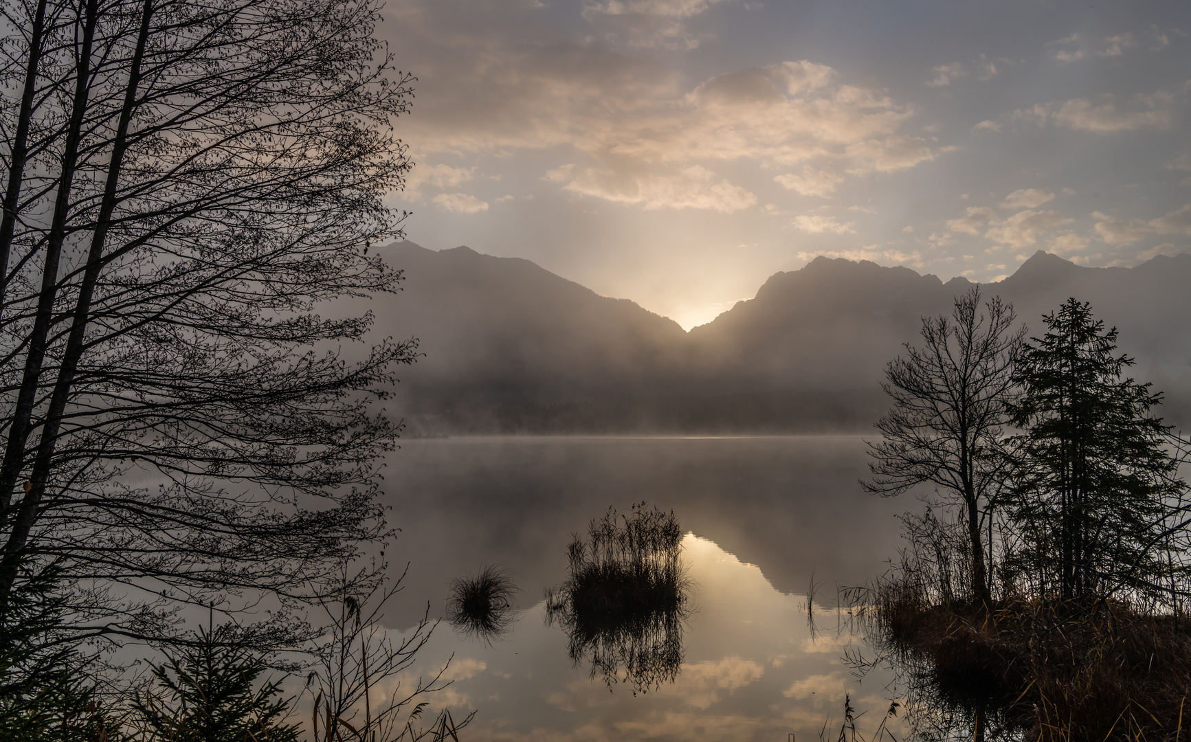 Nebelstimmung am Barmsee