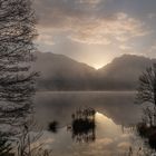 Nebelstimmung am Barmsee