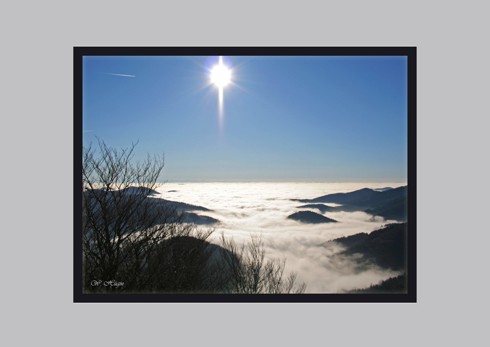 Nebelstimmung am Belchen (Schwarzwald)