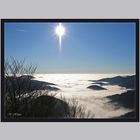 Nebelstimmung am Belchen (Schwarzwald)