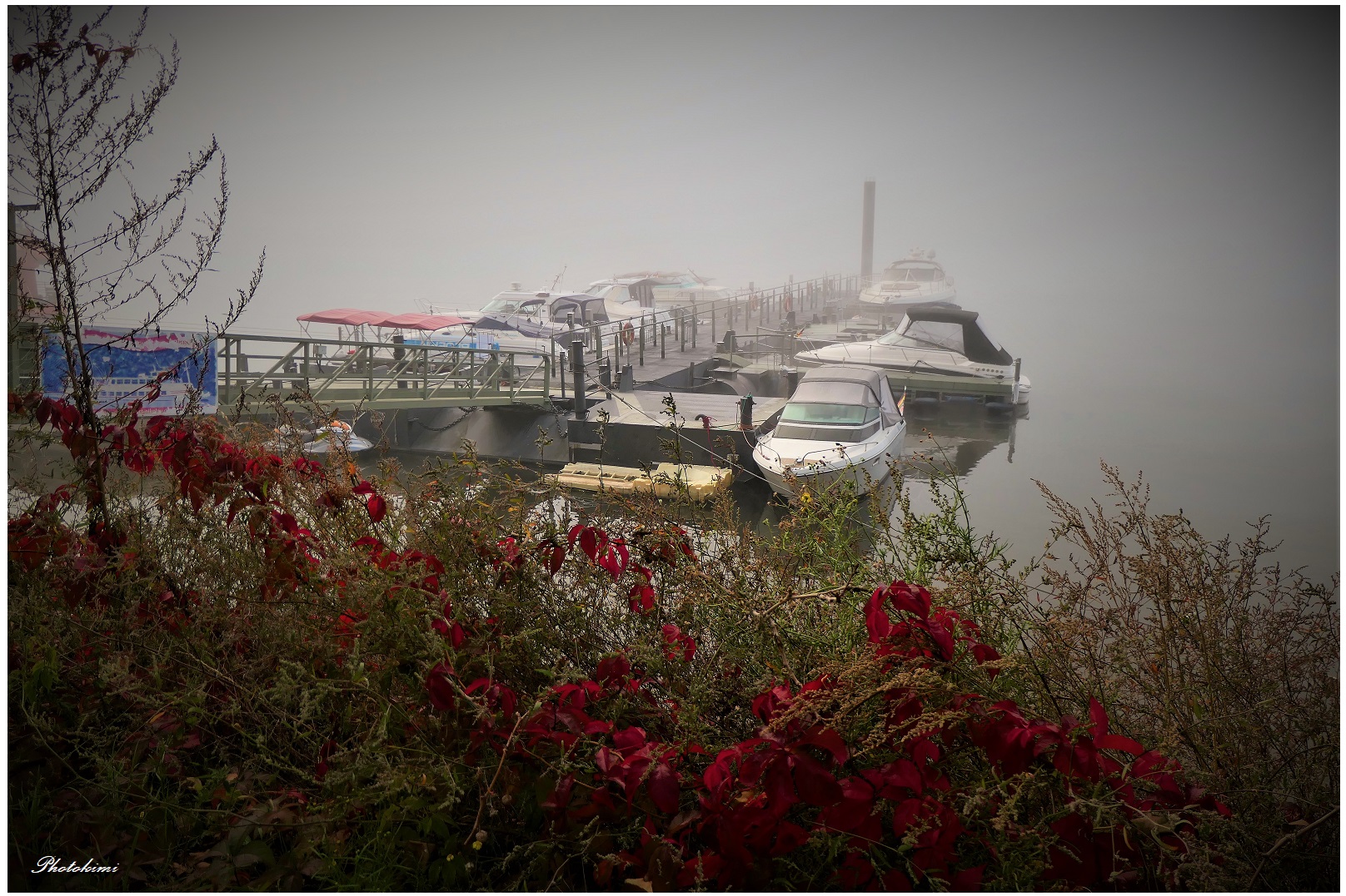 Nebelstimmung am Bootshafen/Schierstein (II)