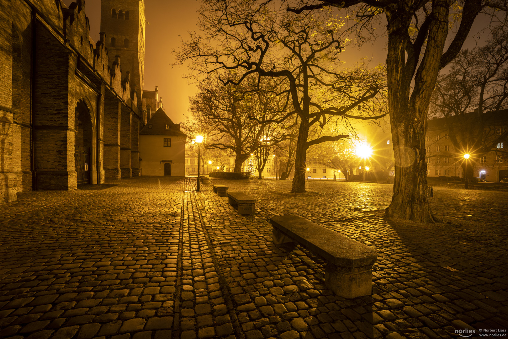 Nebelstimmung am Domvorplatz