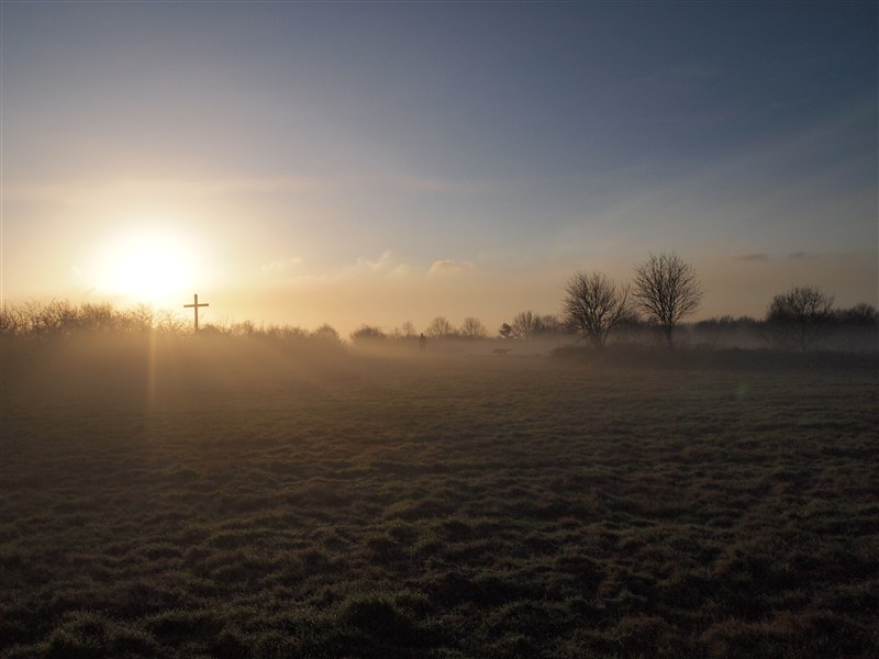 Nebelstimmung am Egelsberg