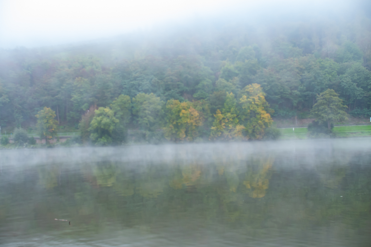 Nebelstimmung am Fluss 1199-3