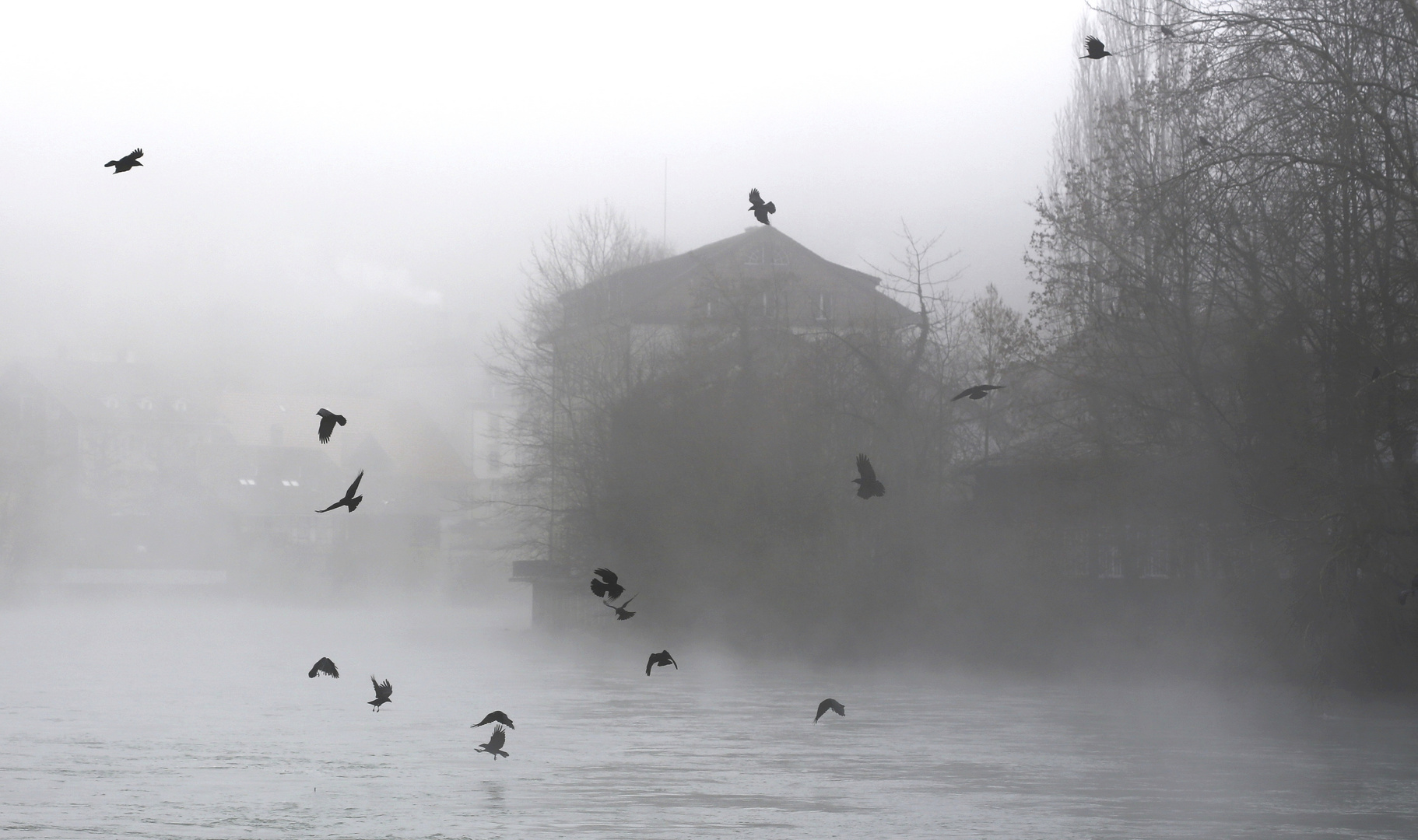 Nebelstimmung am Fluss