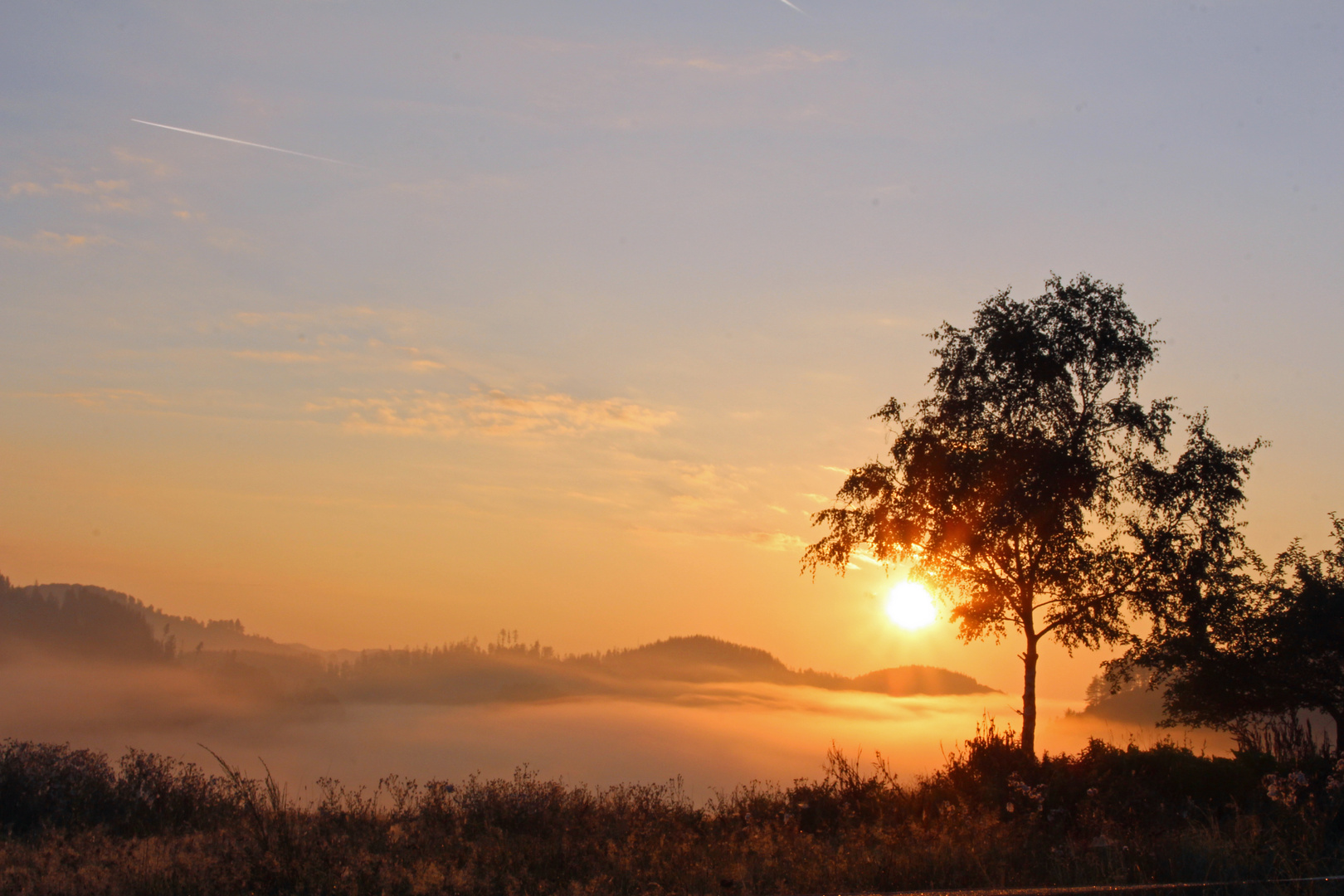 Nebelstimmung am frühen Morgen