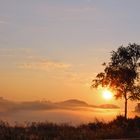 Nebelstimmung am frühen Morgen