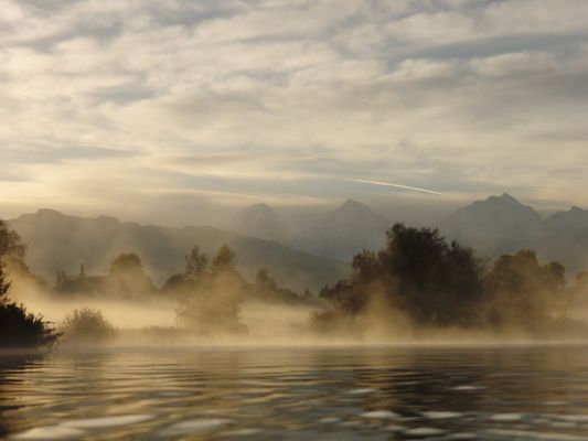 Nebelstimmung am Gerzensee