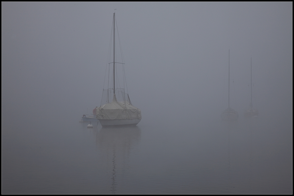 Nebelstimmung am Greifensee