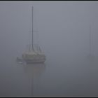 Nebelstimmung am Greifensee