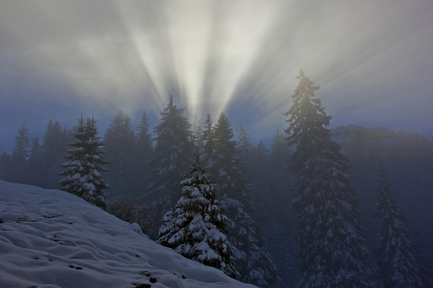 Nebelstimmung am Grünten im Allgäu.